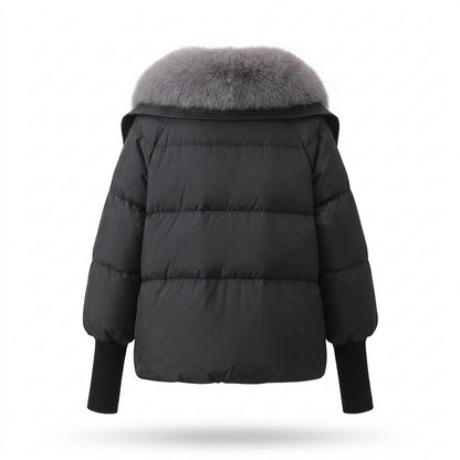 Lederjacken Outlet24 - Doram | Gefüttert Pelzbesetzt Jacke Damen